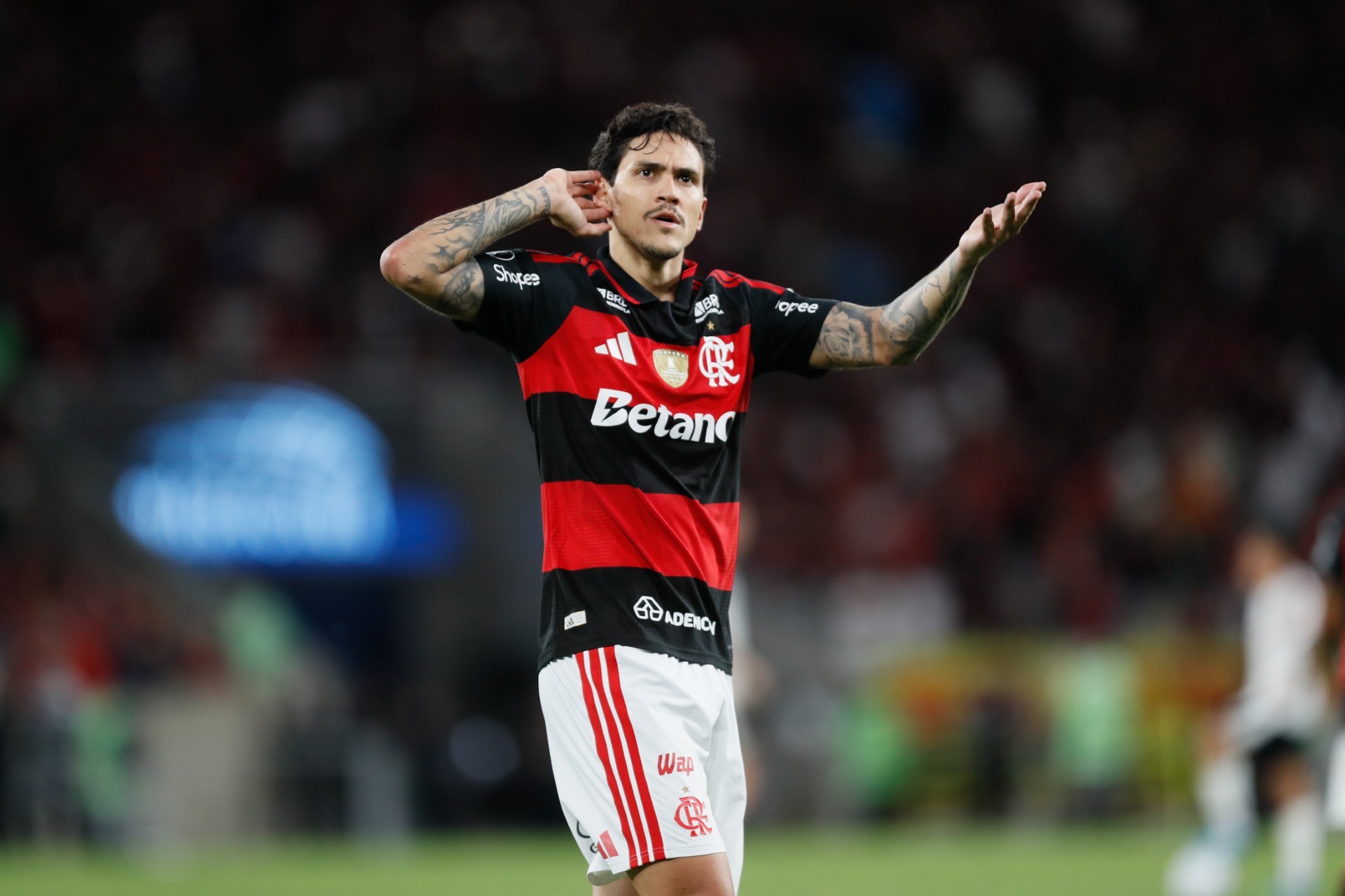 Pedro, atacante do Flamengo, comemorando um gol em partida da Copa Libertadores 2026.
