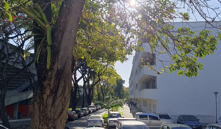 Revisión de la App “Mi Candidato” del CNE de Venezuela: Funcionalidad y Expectativas