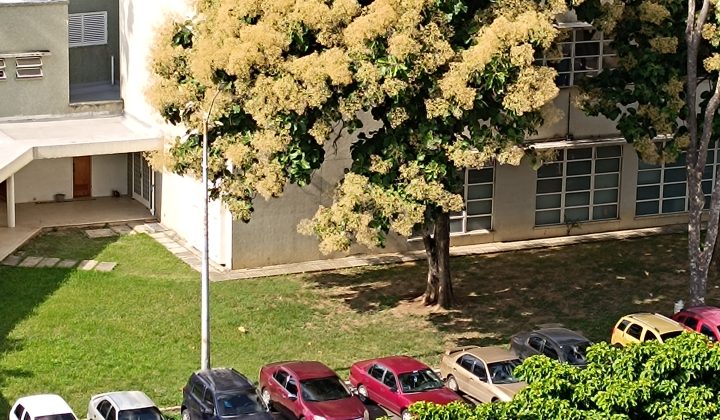 Revisión de la App “Mi Barrio” en Venezuela: ¿Una Herramienta Útil para la Comunidad?