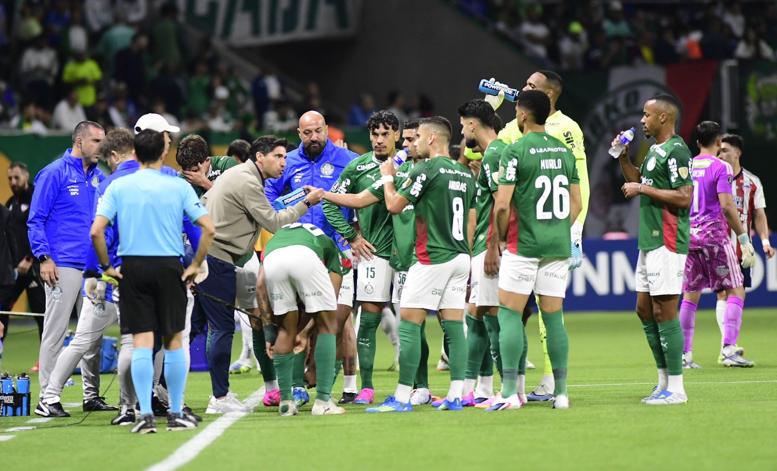 Jogadores do Palmeiras celebram gol contra o Junior Barranquilla pela CONMEBOL Libertadores