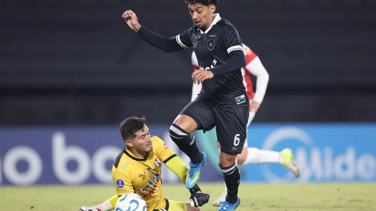 Botafogo: Avaliação dos Reforços no Primeiro Semestre de 2026