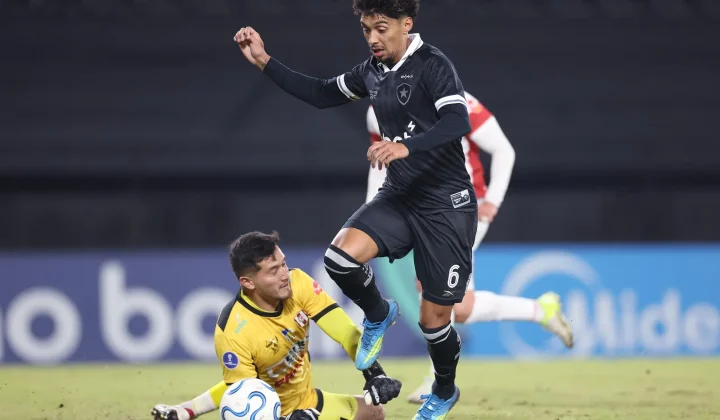 Botafogo: Avaliação dos Reforços no Primeiro Semestre de 2026