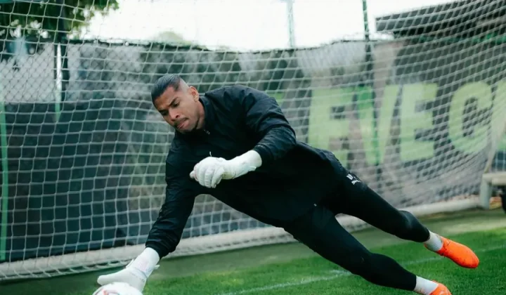 Botafogo anuncia contratação do goleiro Warleson, com trajetória na Bélgica