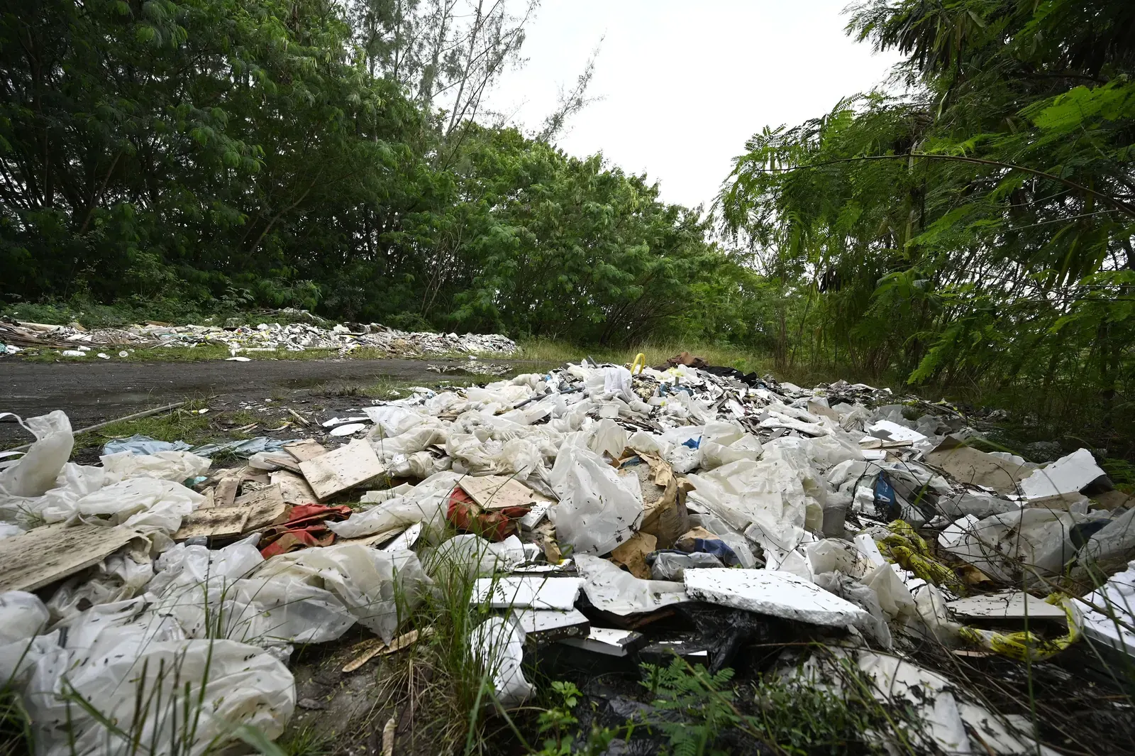Área abandonada do Parque dos Atletas, na Barra da Tijuca, com lixo e mato alto