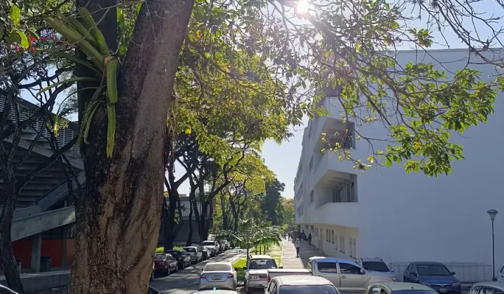 Araguaína abre inscrições para Campeonato Municipal de Futebol de Base; veja como participar