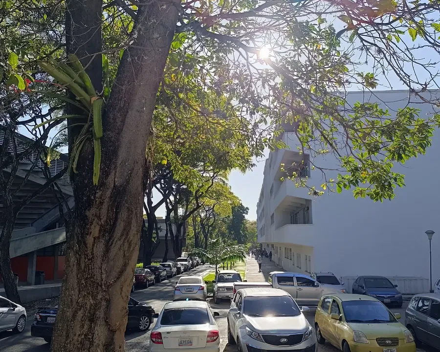 Araguaína abre inscrições para Campeonato Municipal de Futebol de Base; veja como participar