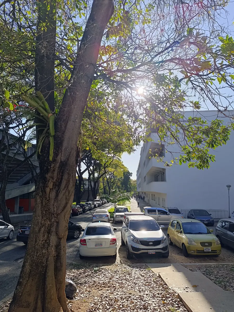 Araguaína abre inscrições para Campeonato Municipal de Futebol de Base; veja como participar